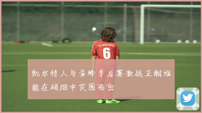 凯尔特人与黄蜂季后赛激战正酣谁能在硝烟中突围而出