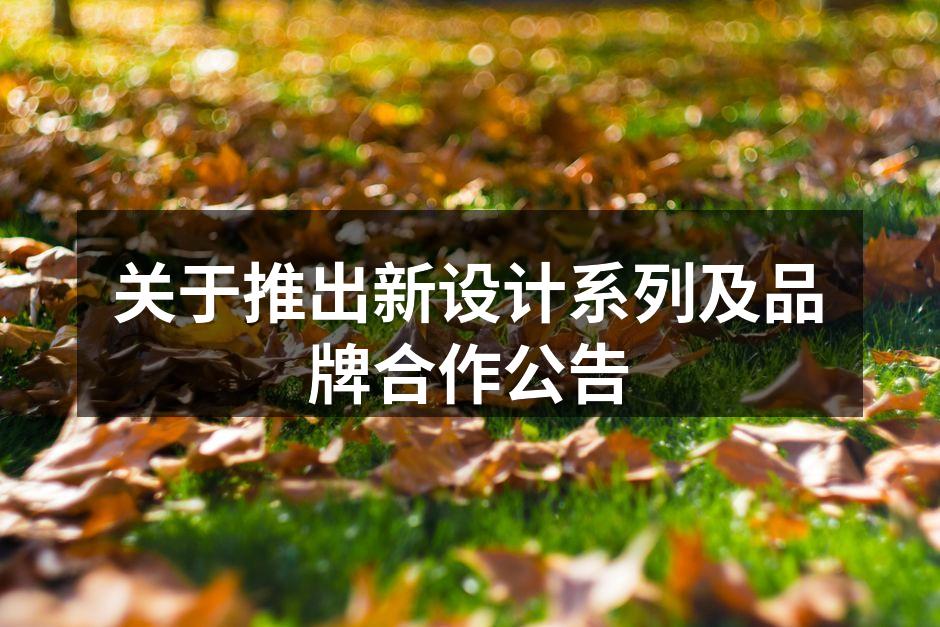 展示全新设计系列的发布会