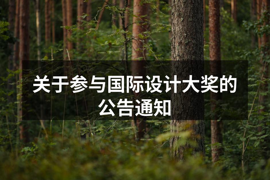 全球设计大奖宣传图
